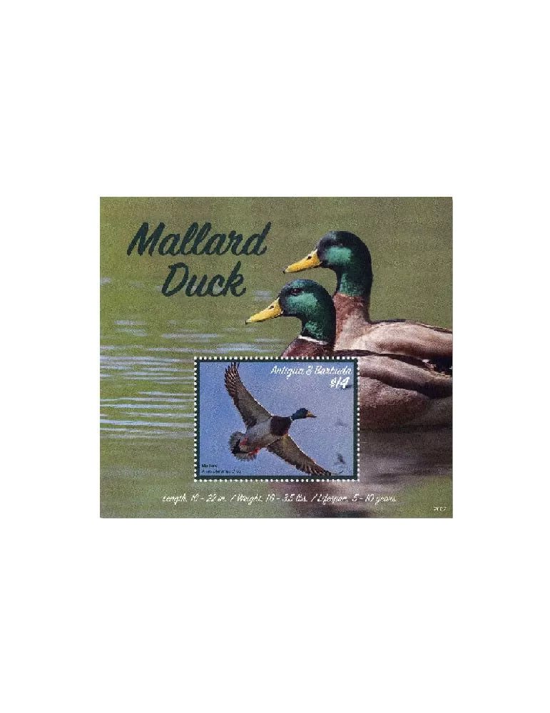 n° 797 - Timbre ANTIGUA Blocs et feuillets