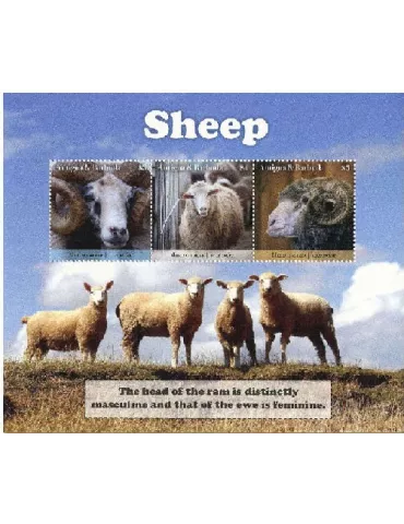 n° 5009/5011 - Timbre ANTIGUA Poste