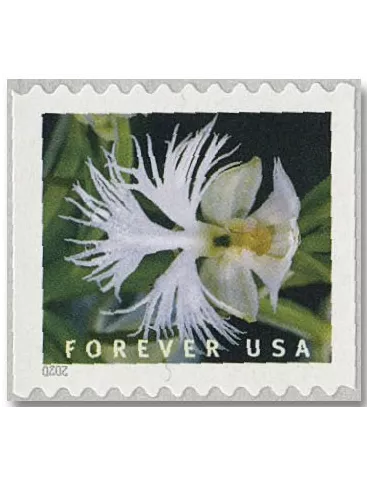 n° 5292a/5301a - Timbre ETATS-UNIS D´AMERIQUE Poste 2
