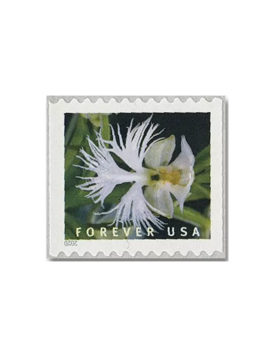 n° 5292a/5301a - Timbre ETATS-UNIS D´AMERIQUE Poste