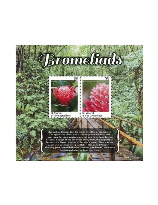 n° 813 - Timbre SAINT-VINCENT Blocs et feuillets