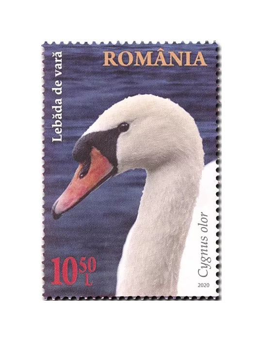 n° 6613/6616 - Timbre ROUMANIE Poste