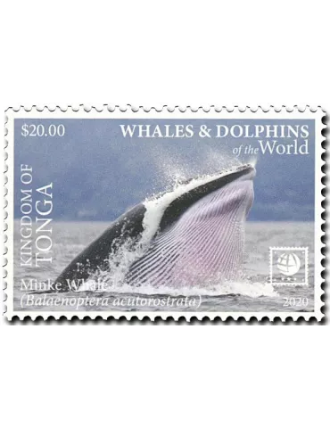 n° 1582/1585 - Timbre TONGA Poste 2