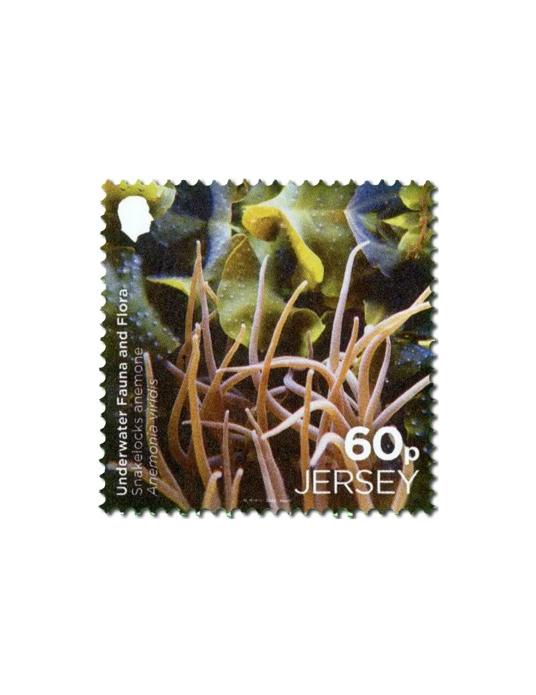 n° 2313/2814 (la paire) + n° 2815 (la série) - Timbre JERSEY Poste