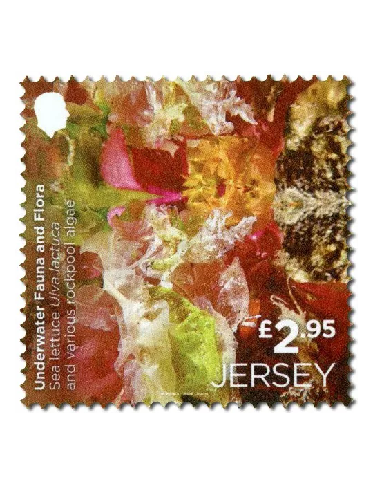 n° 2313/2814 (la paire) + n° 2815 (la série) - Timbre JERSEY Poste