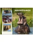 n° 1412 - Timbre MOZAMBIQUE Blocs et feuillets