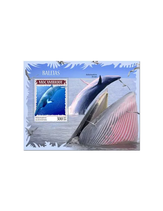 n° 1463 - Timbre MOZAMBIQUE Blocs et feuillets