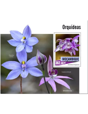 n° 1530 - Timbre MOZAMBIQUE Blocs et feuillets