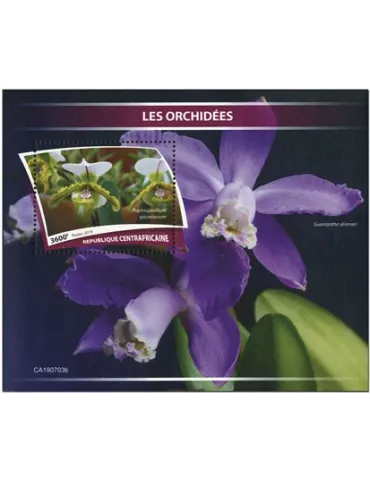 n° 1509 - Timbre CENTRAFRIQUE Blocs et feuillets