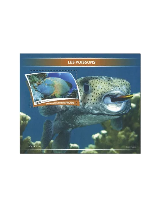 n° 1516 - Timbre CENTRAFRIQUE Blocs et feuillets