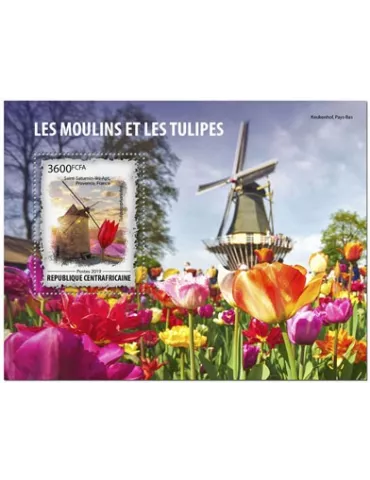 n° 1549 - Timbre CENTRAFRIQUE Blocs et feuillets