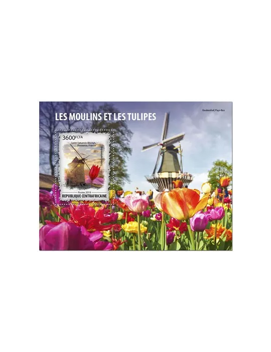 n° 1549 - Timbre CENTRAFRIQUE Blocs et feuillets