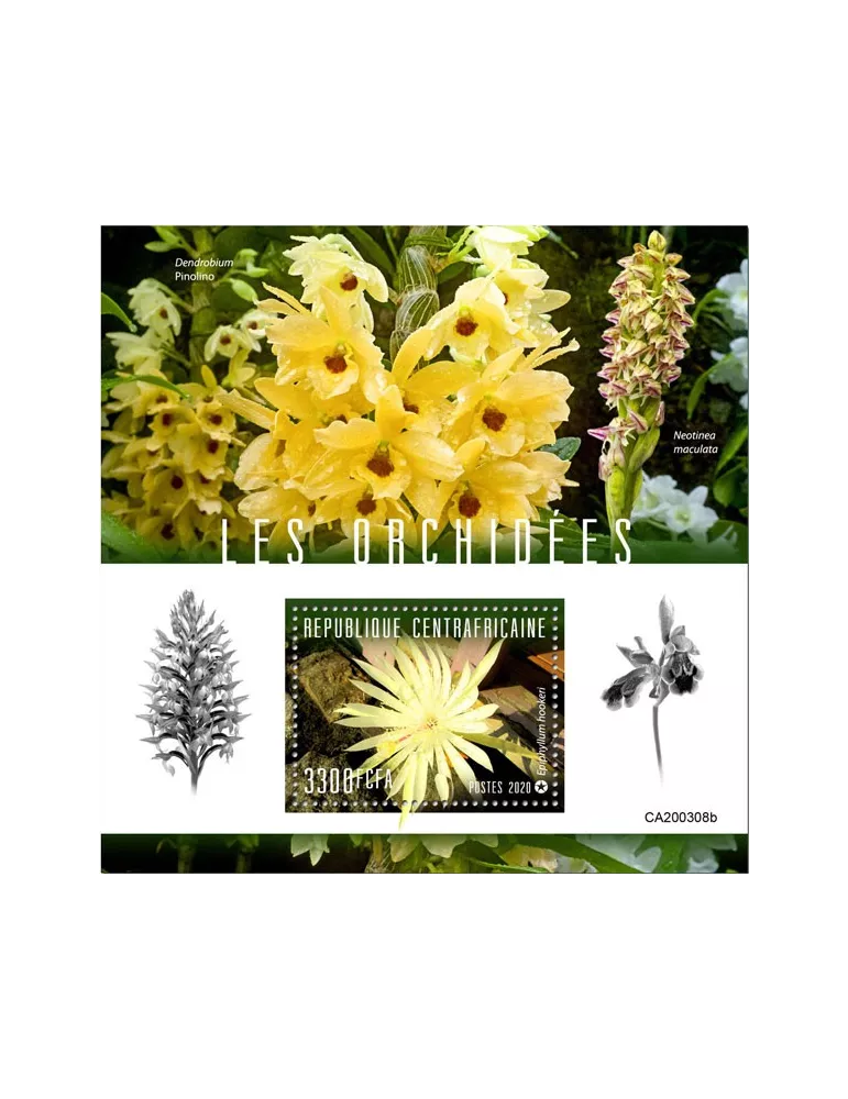 n° 1601 - Timbre CENTRAFRIQUE Blocs et feuillets