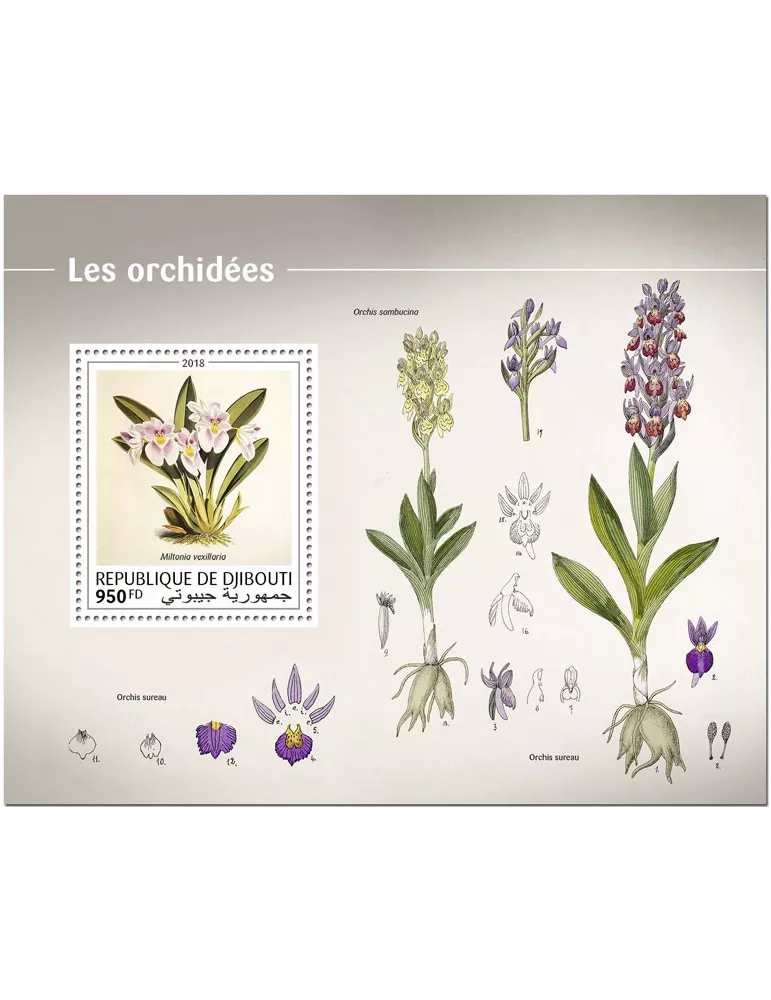 n° 349 - Timbre DJIBOUTI Blocs et feuillets