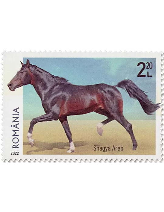 n° 6902/6905 - Timbre ROUMANIE Poste