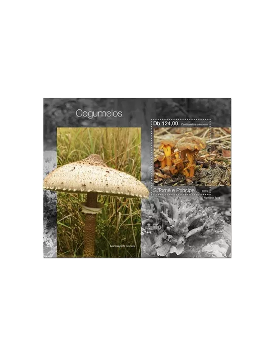 n° 1319 - Timbre SAINT-THOMAS ET PRINCE Blocs et feuillets