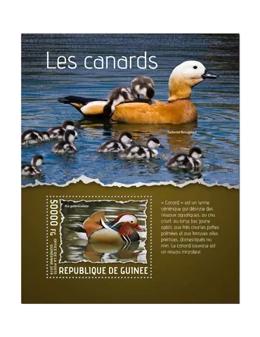 n° 2415 - Timbre GUINEE Blocs et feuillets