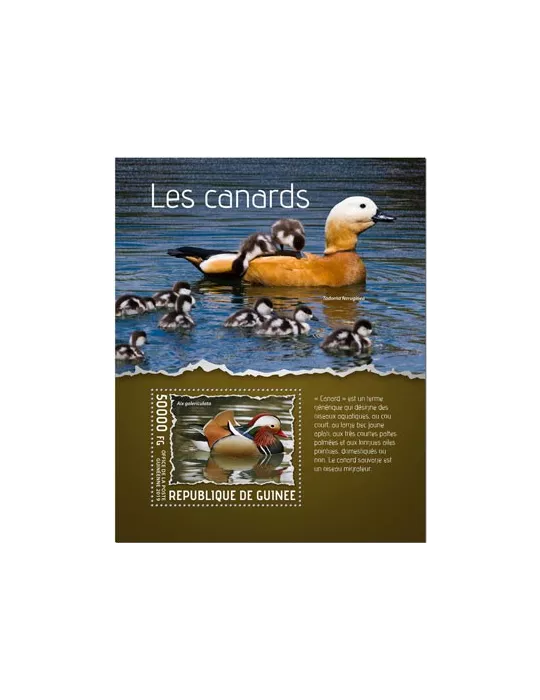 n° 2415 - Timbre GUINEE Blocs et feuillets