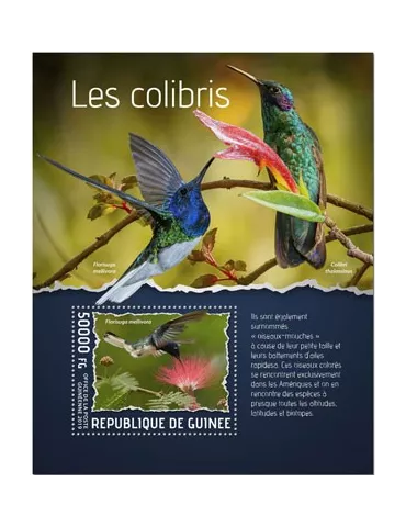 n° 2419 - Timbre GUINEE Blocs et feuillets