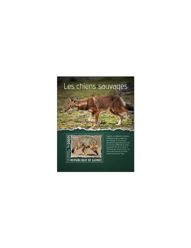 n° 2427 - Timbre GUINEE Blocs et feuillets