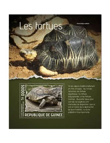 n° 2428 - Timbre GUINEE Blocs et feuillets