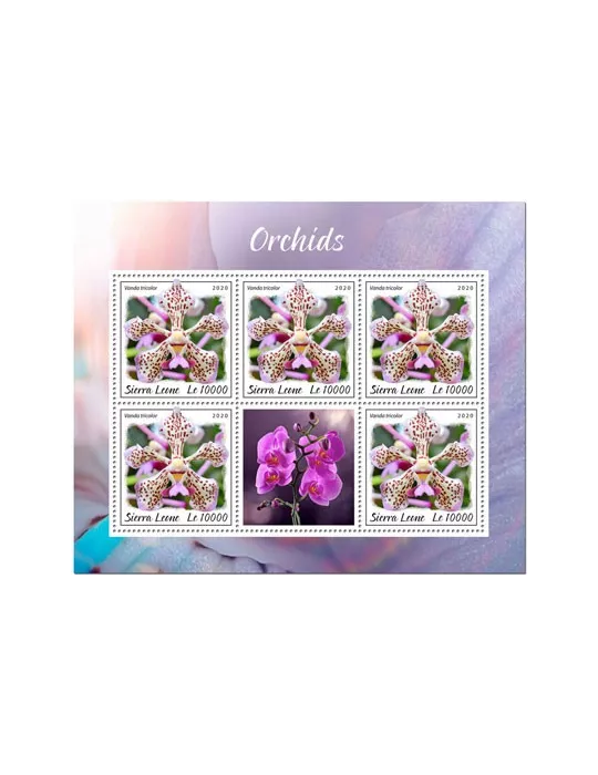 n° F9656/F9658 - Timbre SIERRA LEONE Poste