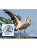 n° 1636 - Timbre SIERRA LEONE Blocs et feuillets