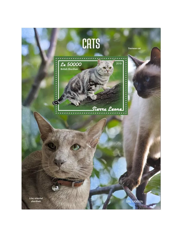 n° 1731 - Timbre SIERRA LEONE Blocs et feuillets