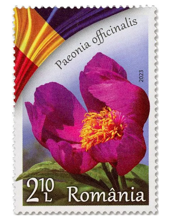 n° 7016/7019 - Timbre ROUMANIE Poste