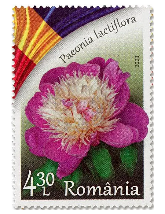 n° 7016/7019 - Timbre ROUMANIE Poste