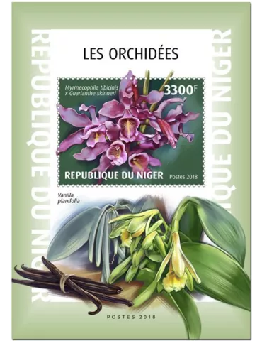 n° 958 - Timbre NIGER Blocs et feuillets