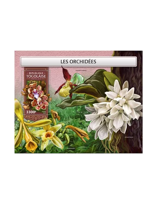 n° 1389 - Timbre TOGO Blocs et feuillets