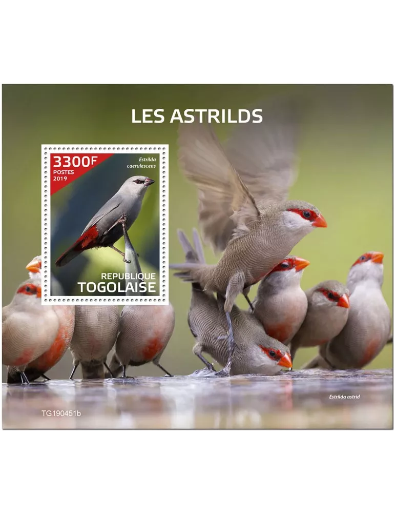 n° 1724 - Timbre TOGO Blocs et feuillets