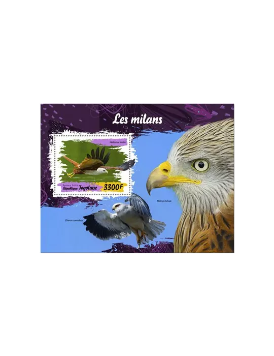 n° 1816 - Timbre TOGO Blocs et feuillets