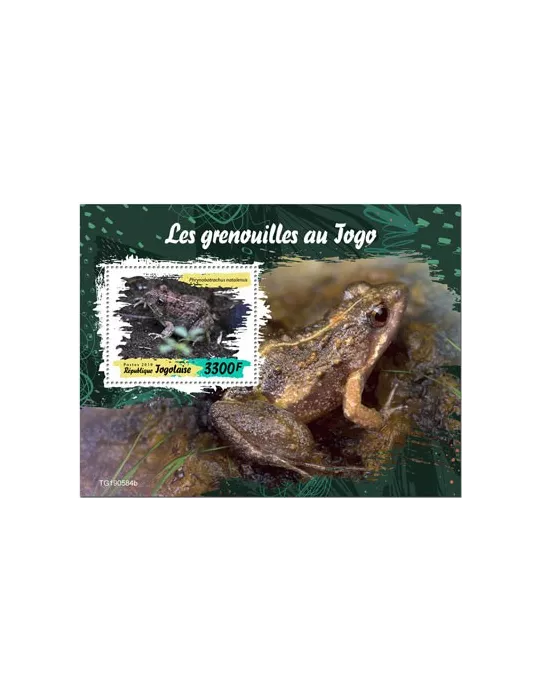 n° 1825 - Timbre TOGO Blocs et feuillets