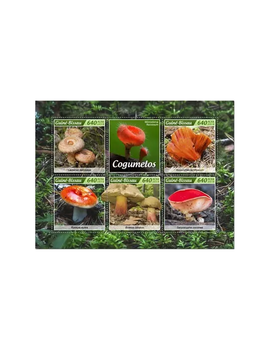 n° 8210/8214 - Timbre GUINEE-BISSAU Poste