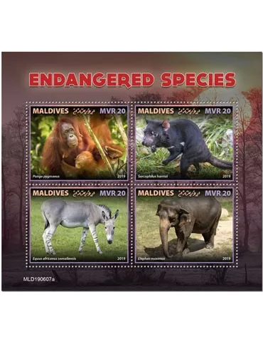 n° 7004/7007 - Timbre MALDIVES Poste