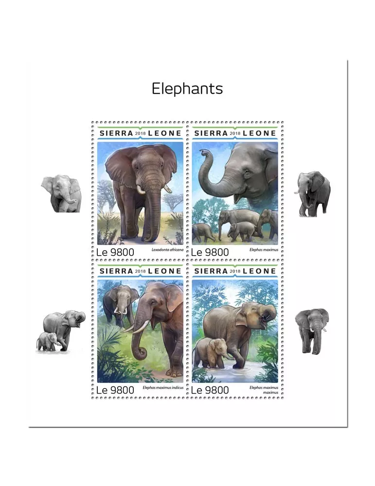 n° 8110/8113 - Timbre SIERRA LEONE Poste