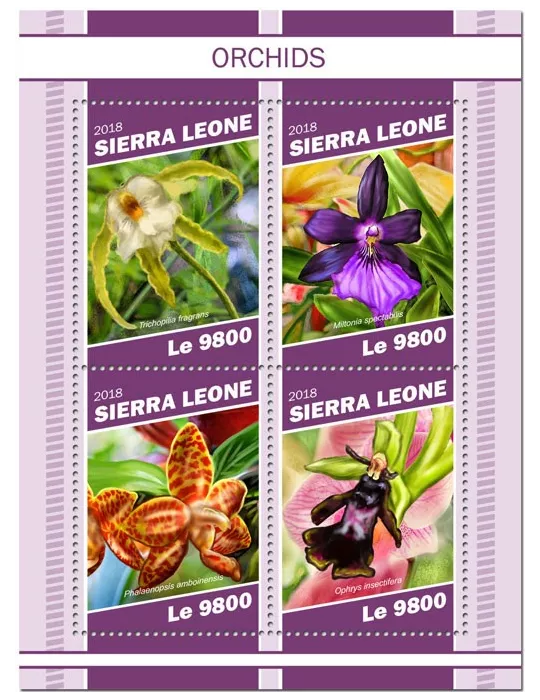 n° 8538/8541 - Timbre SIERRA LEONE Poste