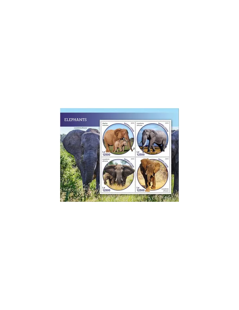 n° 8719/8722 - Timbre SIERRA LEONE Poste