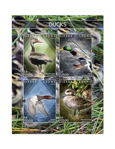 n° 9541/9544 - Timbre SIERRA LEONE Poste