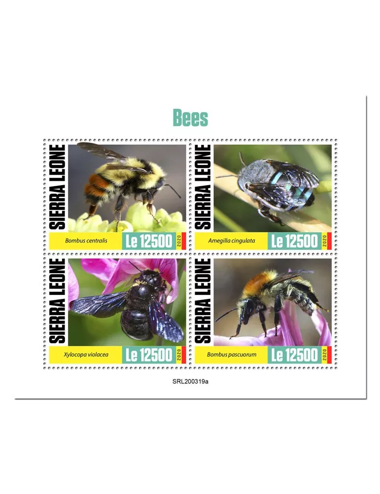 n° 9836/9839 - Timbre SIERRA LEONE Poste