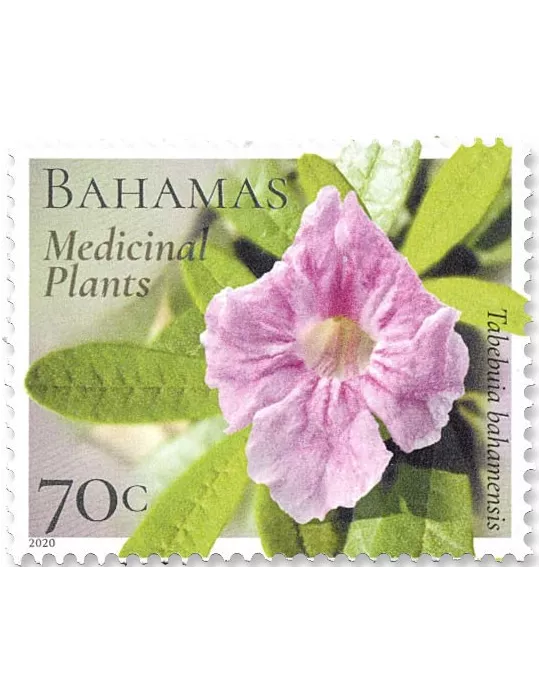 n° 1597/1602 - Timbre BAHAMAS Poste