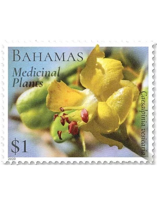 n° 1597/1602 - Timbre BAHAMAS Poste