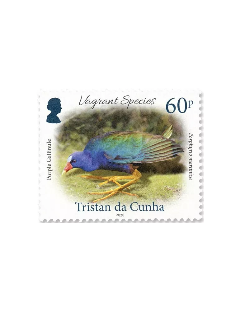 n° 1256/1259 - Timbre TRISTAN DA CUNHA Poste