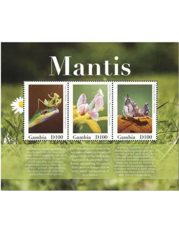 n° 6076/6078 - Timbre GAMBIE Poste