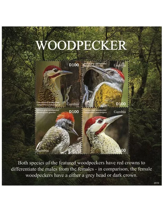 n° 6090/6093 - Timbre GAMBIE Poste