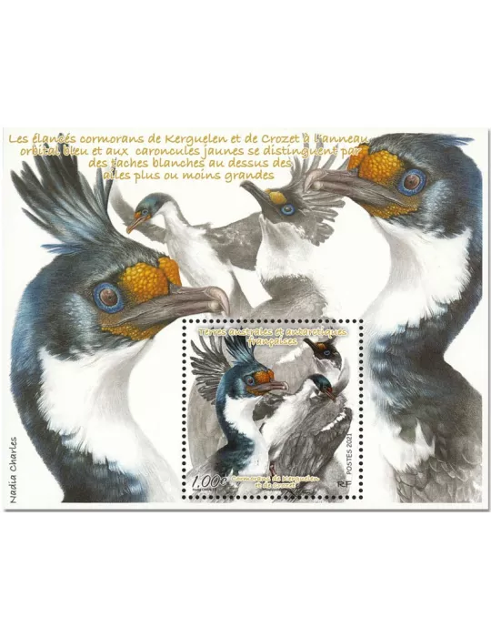 n° F958 - Timbre TAAF Poste