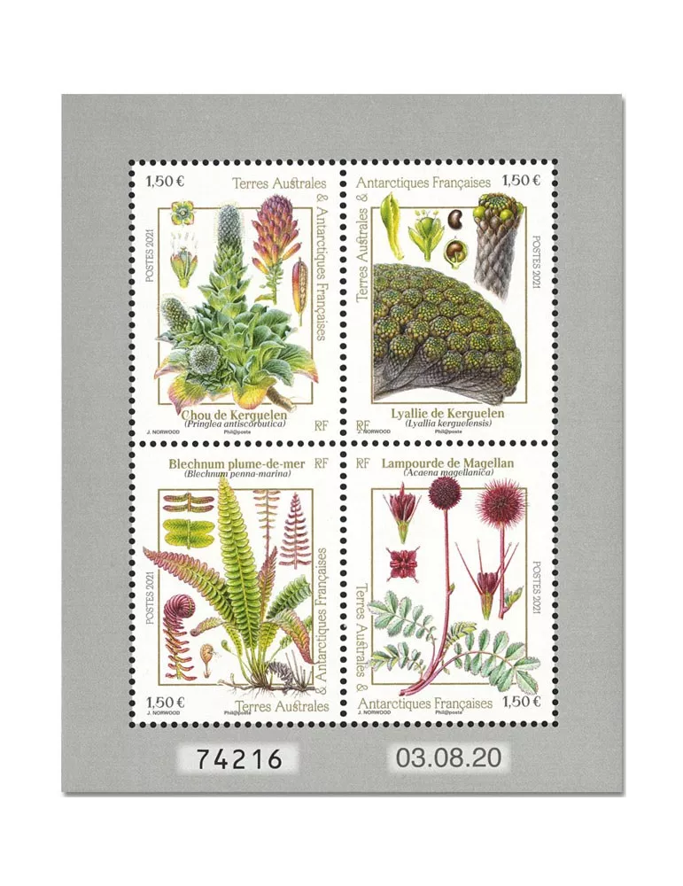 n° F969 - Timbre TAAF Poste