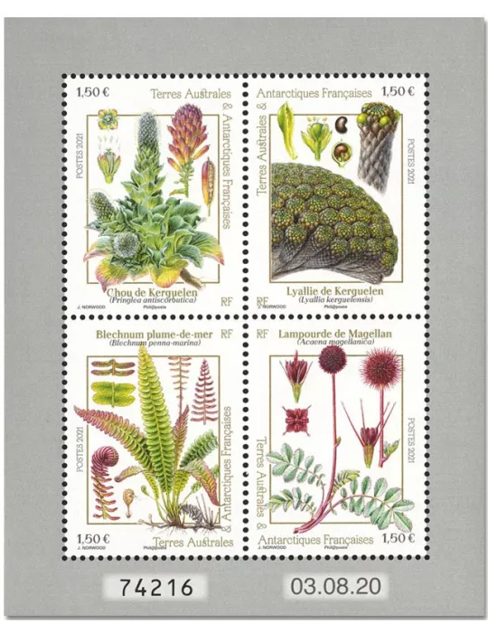 n° F969 - Timbre TAAF Poste